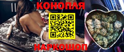 круглые Кингисепп