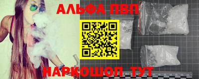 круглые Кингисепп