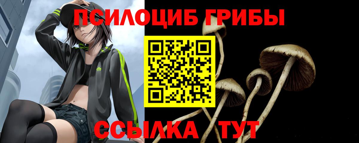 Галлюциногенные грибы мухоморы  Псилоцибиновые грибы Magic Shrooms  Вход с VPN  Крымск 